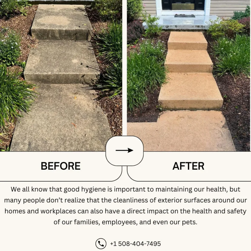 Algae Removal (Siding, Roof, etc.) in Narberth, PA