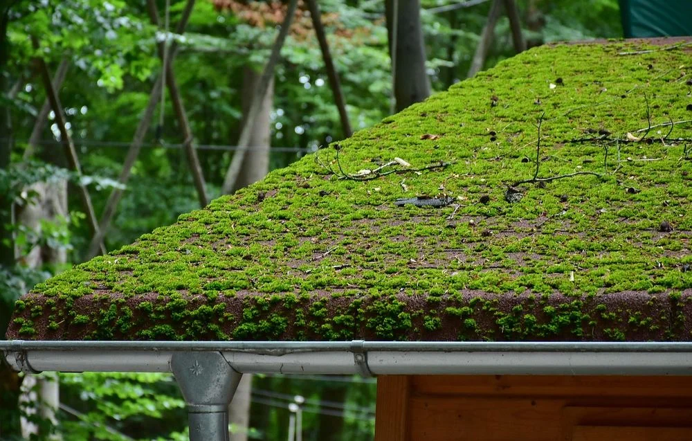 Eco-Friendly Methods in King of Prussia, PA