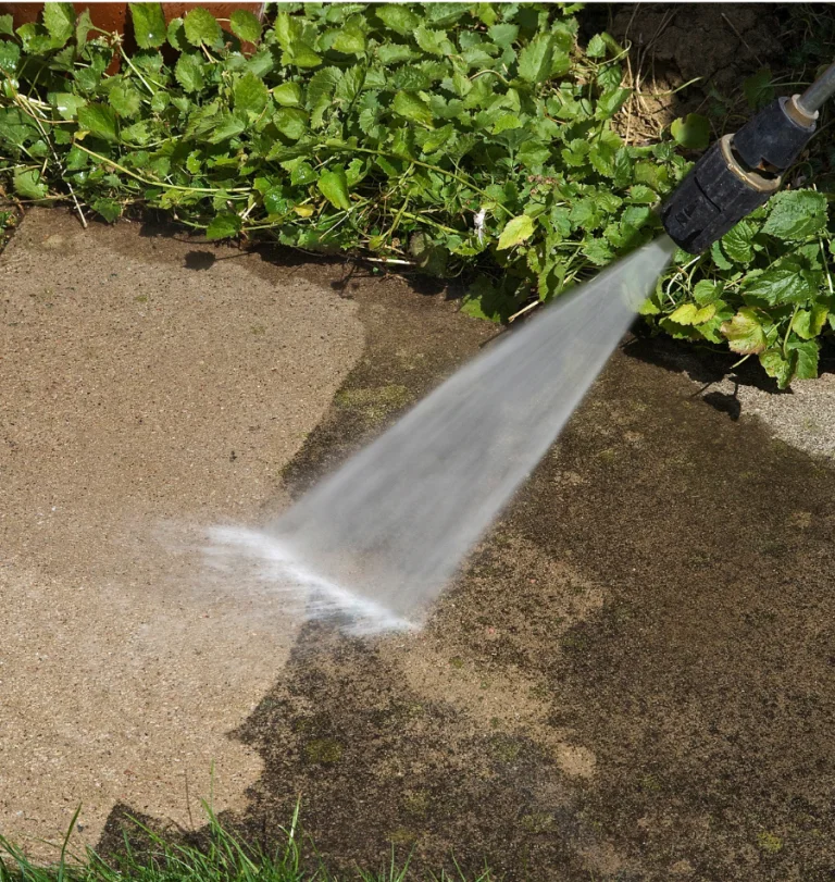 Roof Soft Washing in Downingtown, PA