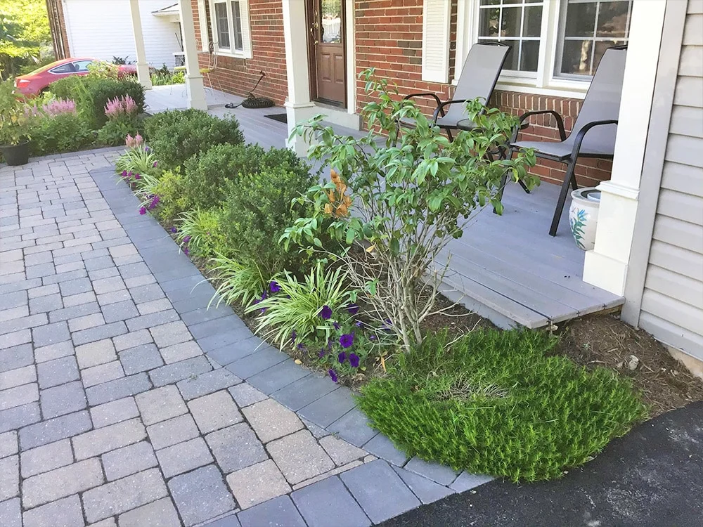 Mold, Mildew & Algae Removal in Wayne, PA